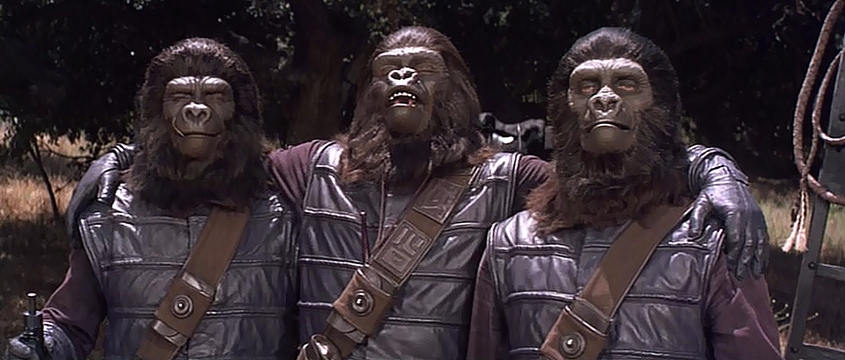 そえじまただし tweet media