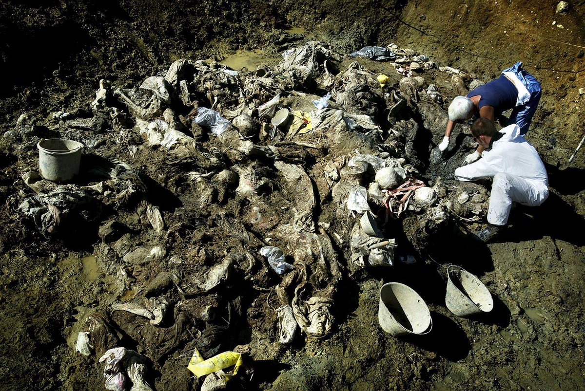 Středočeská Sešívka🇨🇿🇺🇦🇮🇱 tweet media