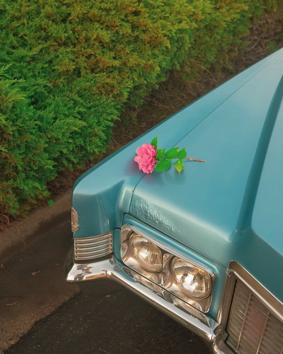 🪷🦋Katy🦋🪷 tweet media