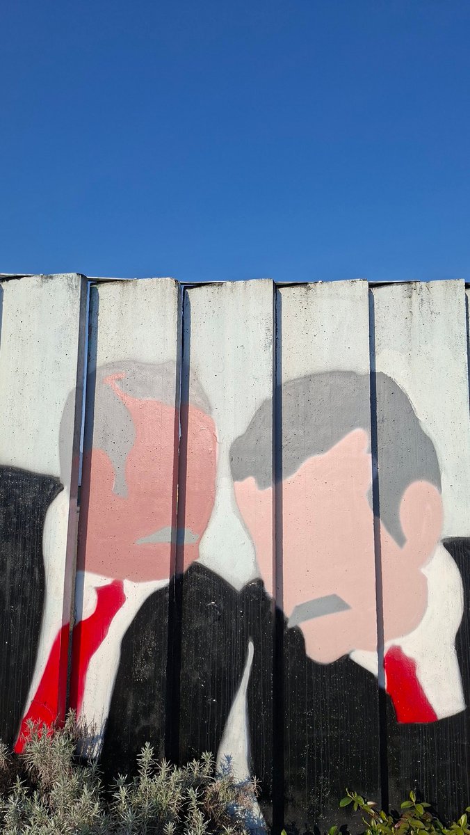 Davide Grassi tweet media