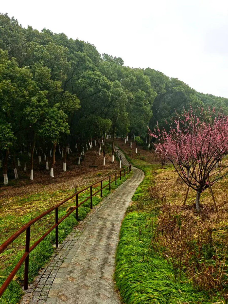 Nelly Jedinakova tweet media