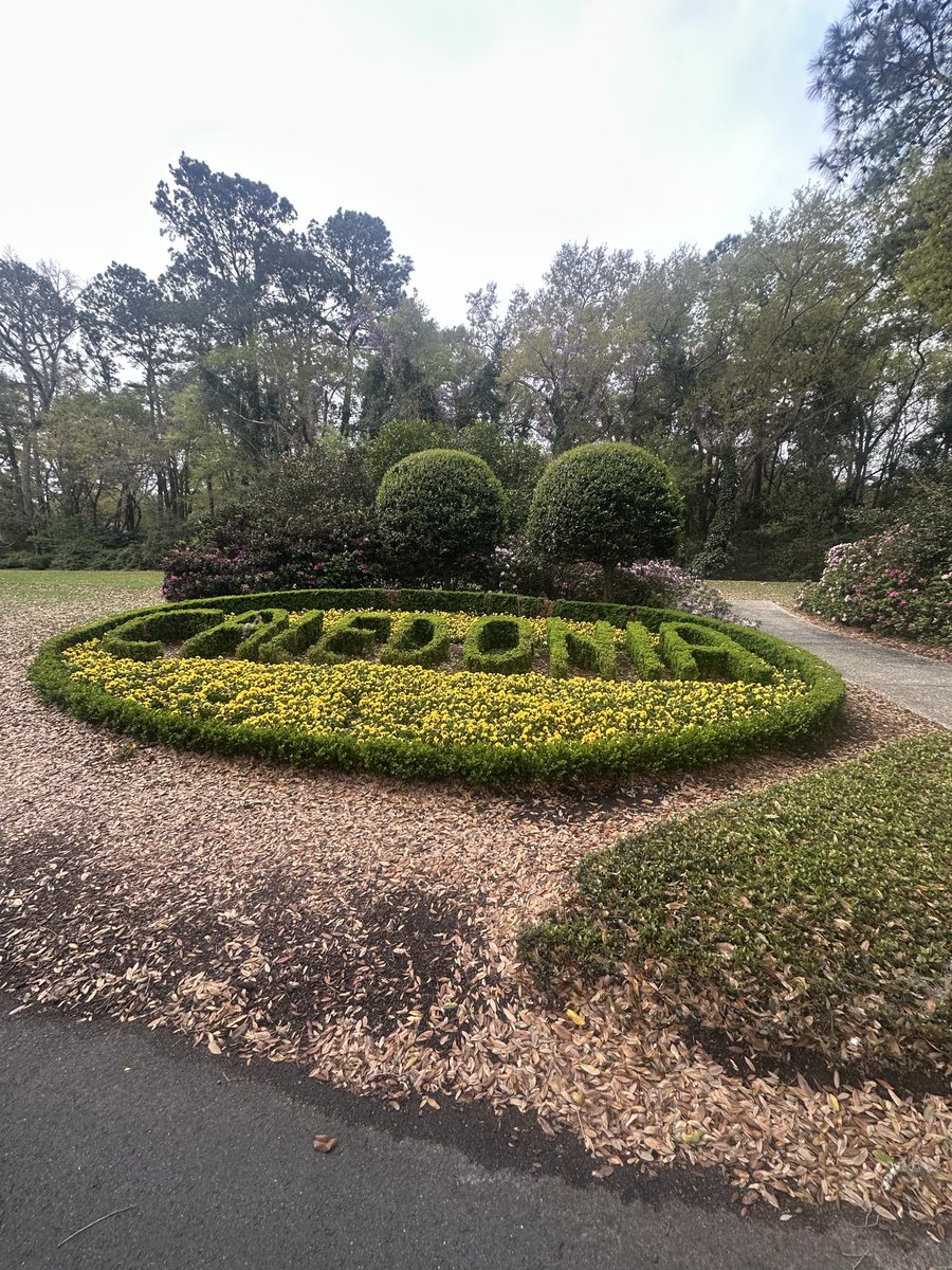 AJ Willy tweet media