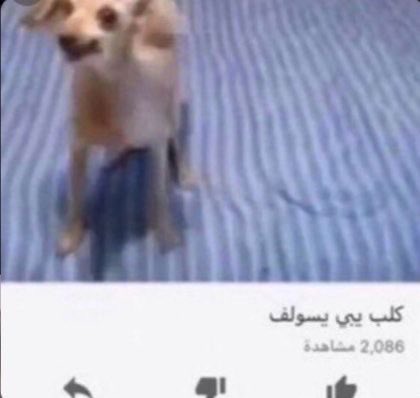 قـمـر tweet media