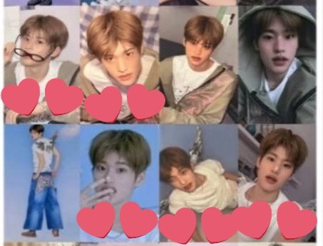 いくこ * ぱらん.｡.:*･ﾟ🦋 tweet media