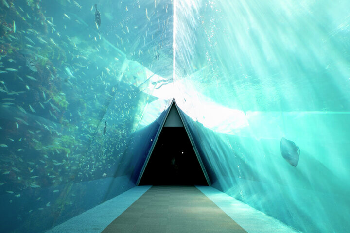 ことりっぷ tweet media