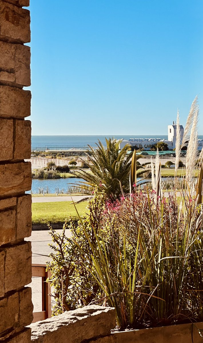 Ladygarra tweet media