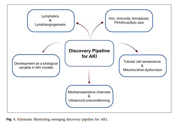 Nephrology | Karger tweet media