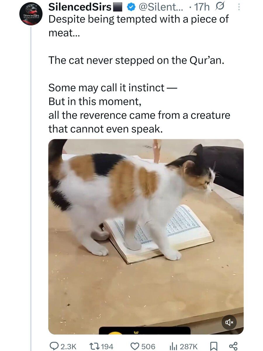 Delusional Takes tweet media