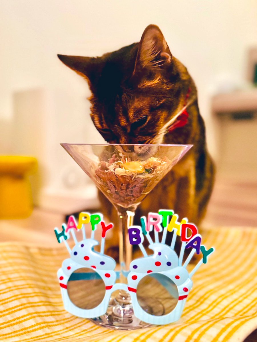 Yukiko Iyo🐈Catlog®（キャトログ）🐕️Pawlinq™（パウリンク） tweet media