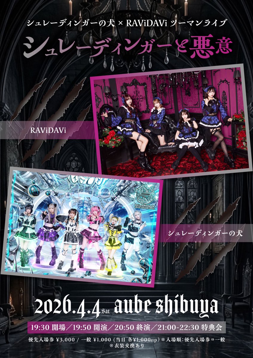 RAViDAVi【ラビダビ】 tweet media