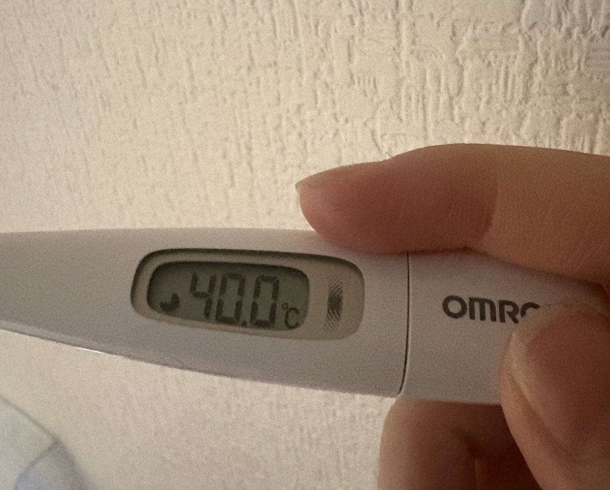 枝豆プチッとマメまめ汰！ tweet media