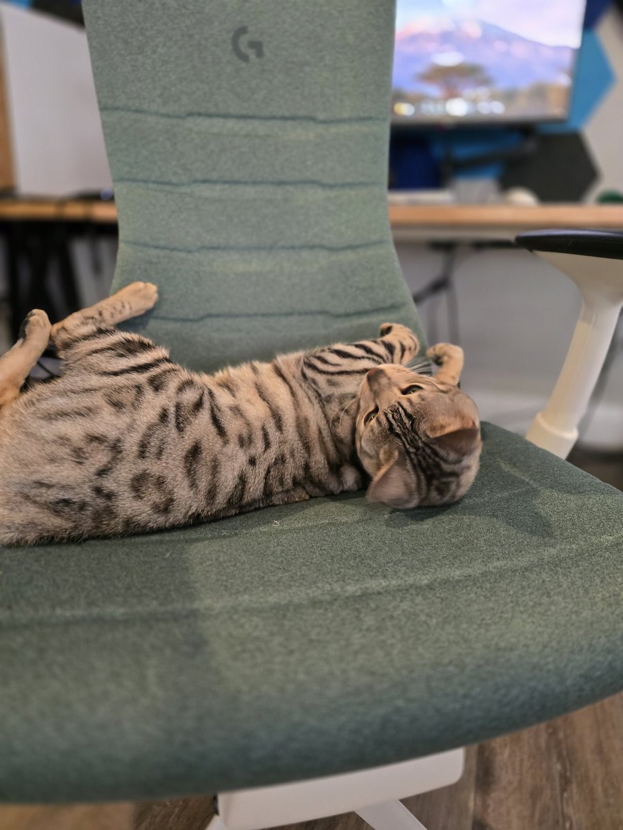 VarsityGaming tweet media