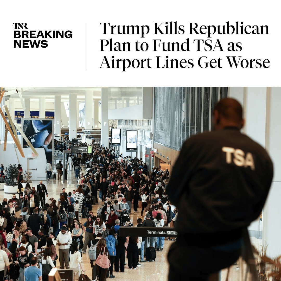 Roy Daiber tweet media