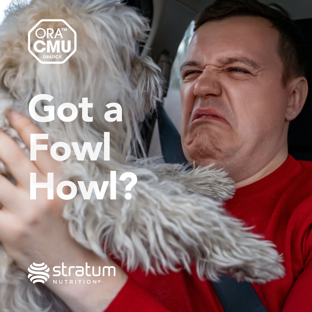 Stratum Nutrition tweet media