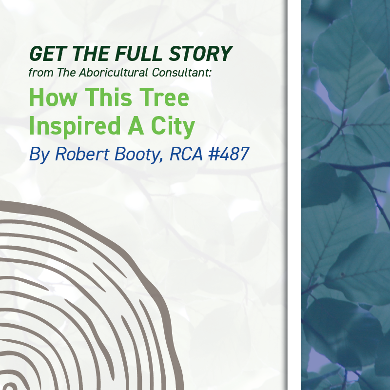 Consulting Arborists tweet media