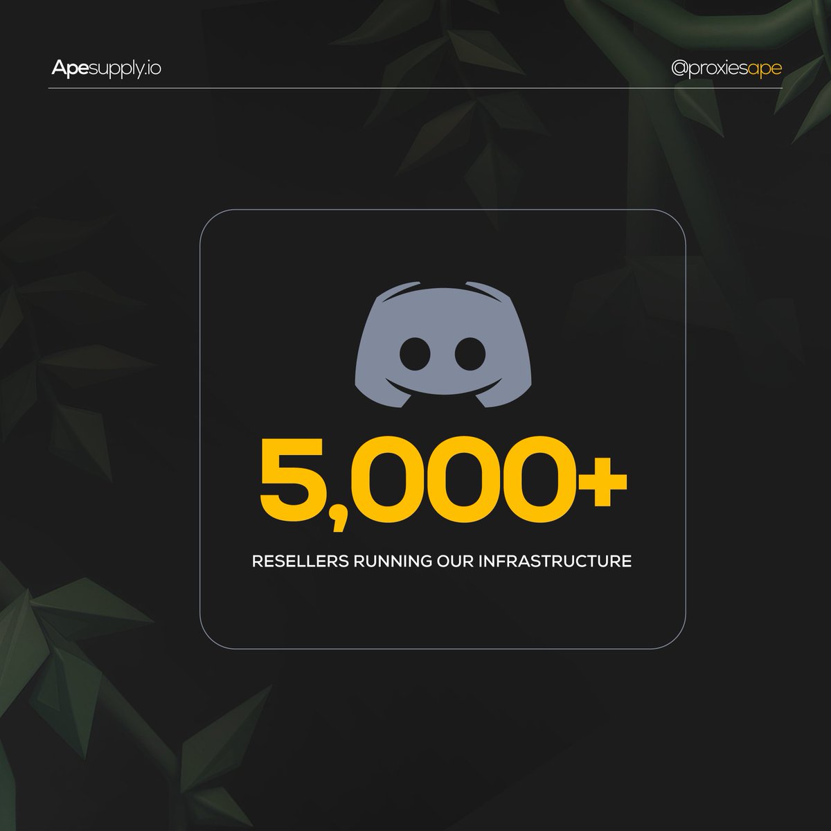 Ape Supply tweet media