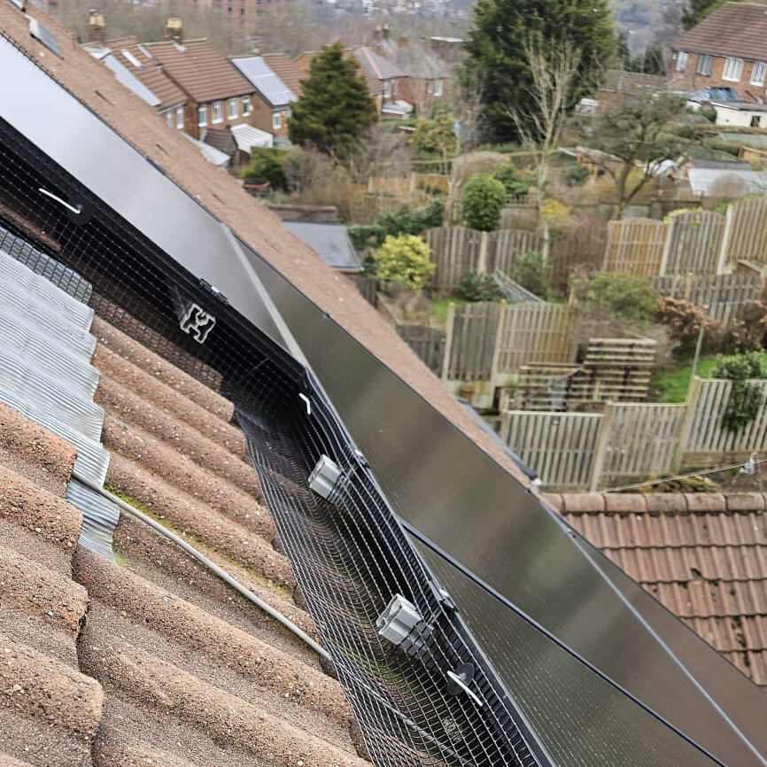 ExpelBird's tweet photo. Pigeon Proofing Solar Panels in Sheffield. Velux windows and pigeons don't mix well especially with these inviting solar panels #BirdProofing #Yorkshire https://t.co/fyTtkqZZZe https://t.co/eW1NAdLufo