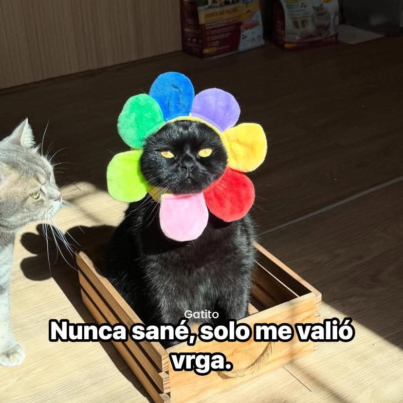 Nasty Poet tweet media