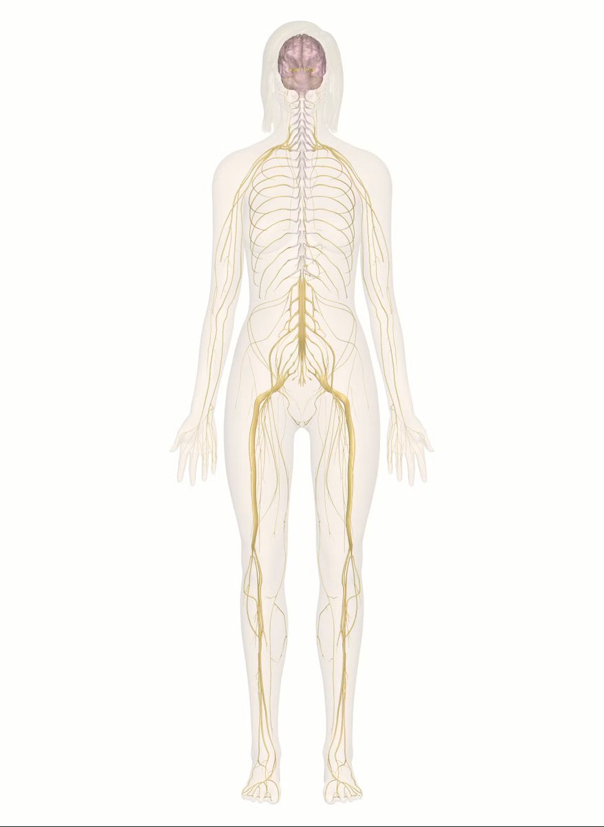 PonOfSecrets tweet media