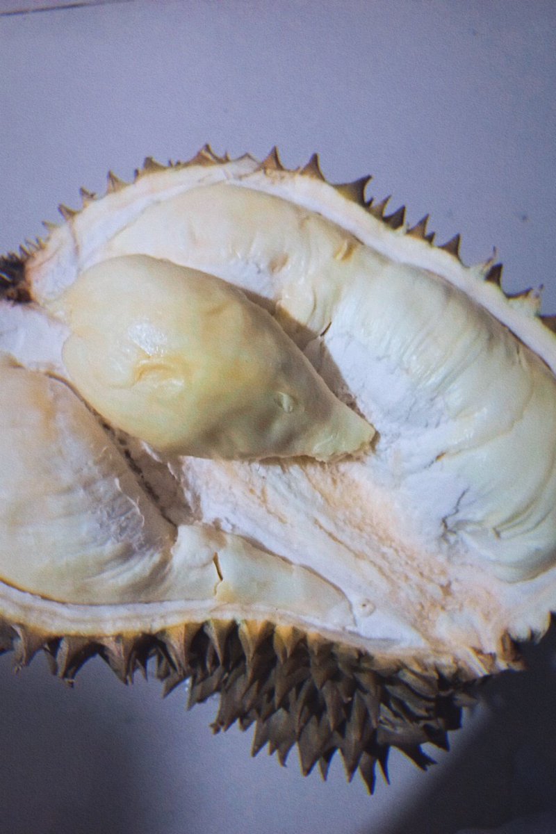 andin🧟‍♀️ tweet media