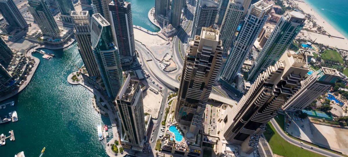 LivingDK tweet media