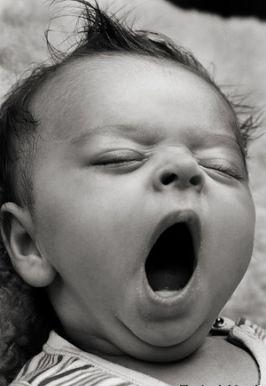 Martin Bauer tweet media