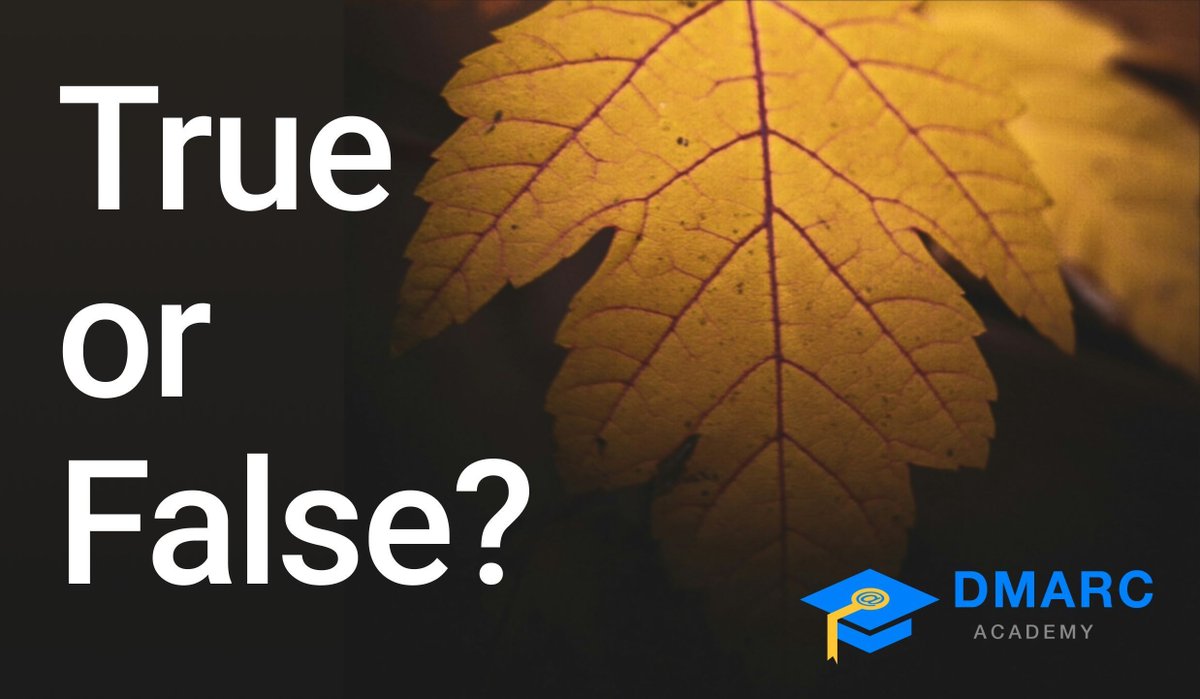 dmarcian tweet media