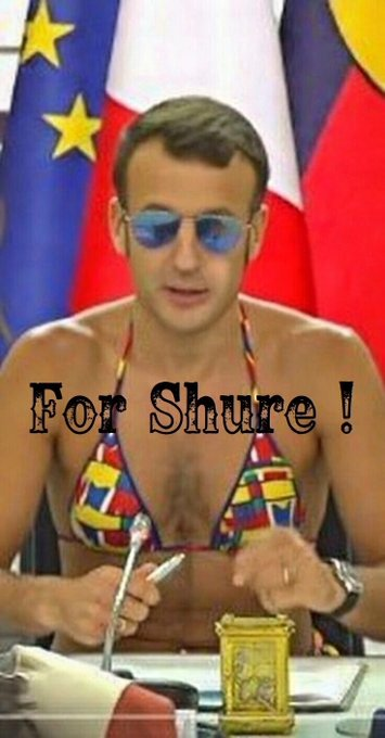 WinWin 🇫🇷 🇮🇱 🇷🇺 tweet media