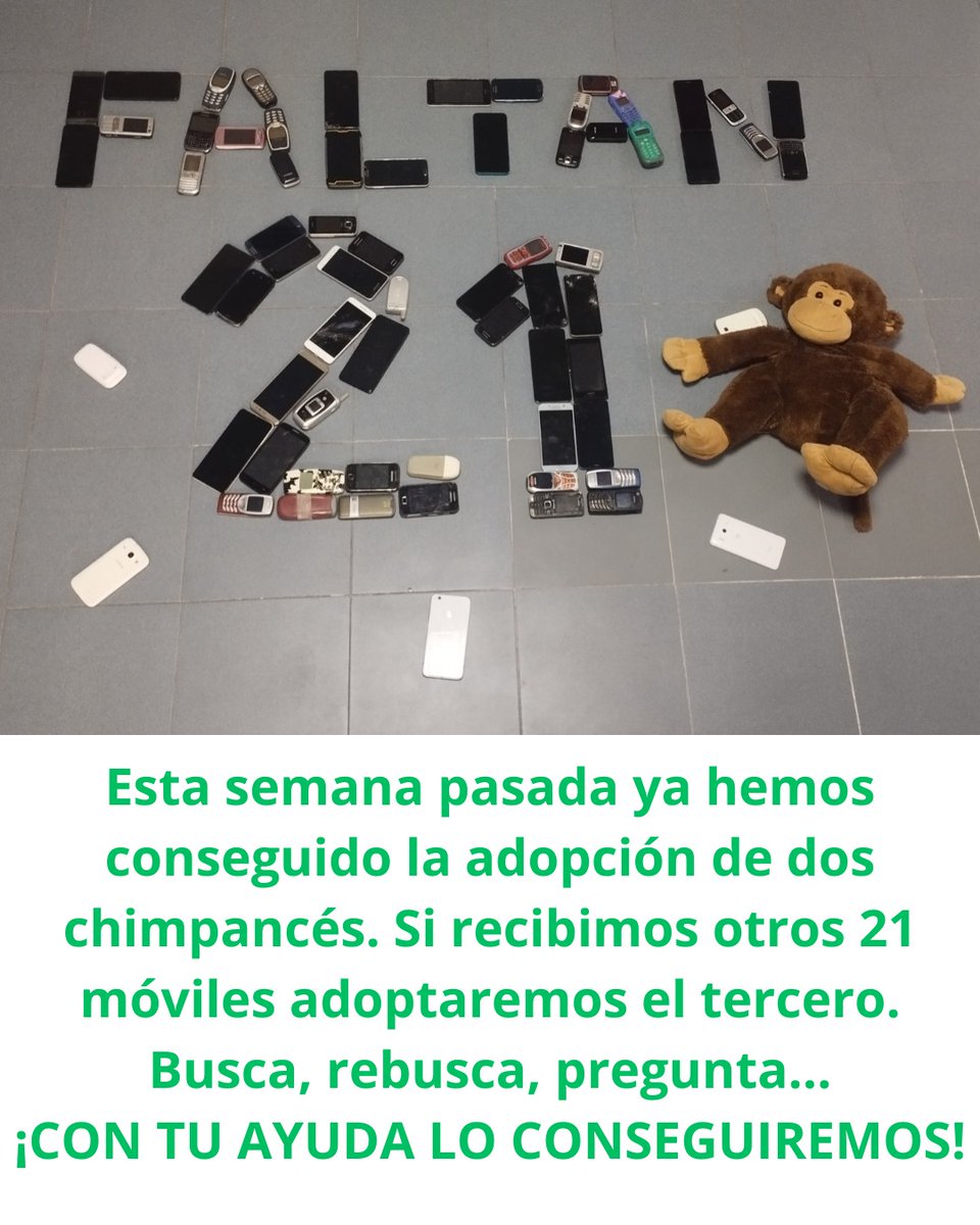 IES Manuel de Falla tweet media