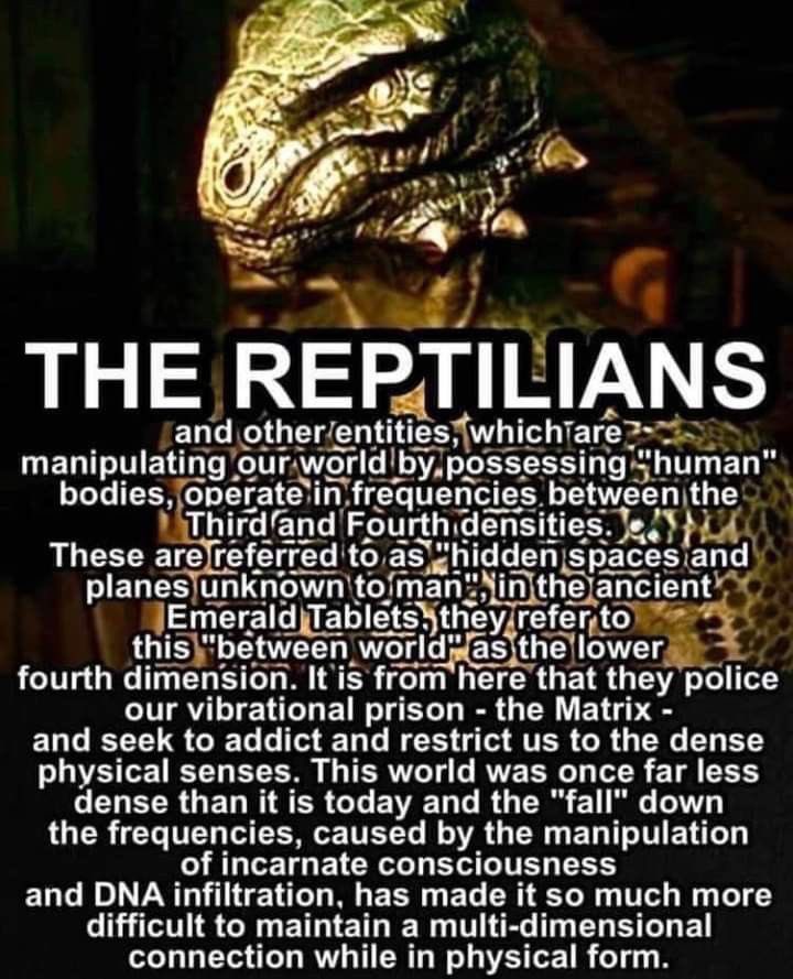 Diana PATRIOTS ARE UNITED❤️🇺🇸❤️🙏 tweet media