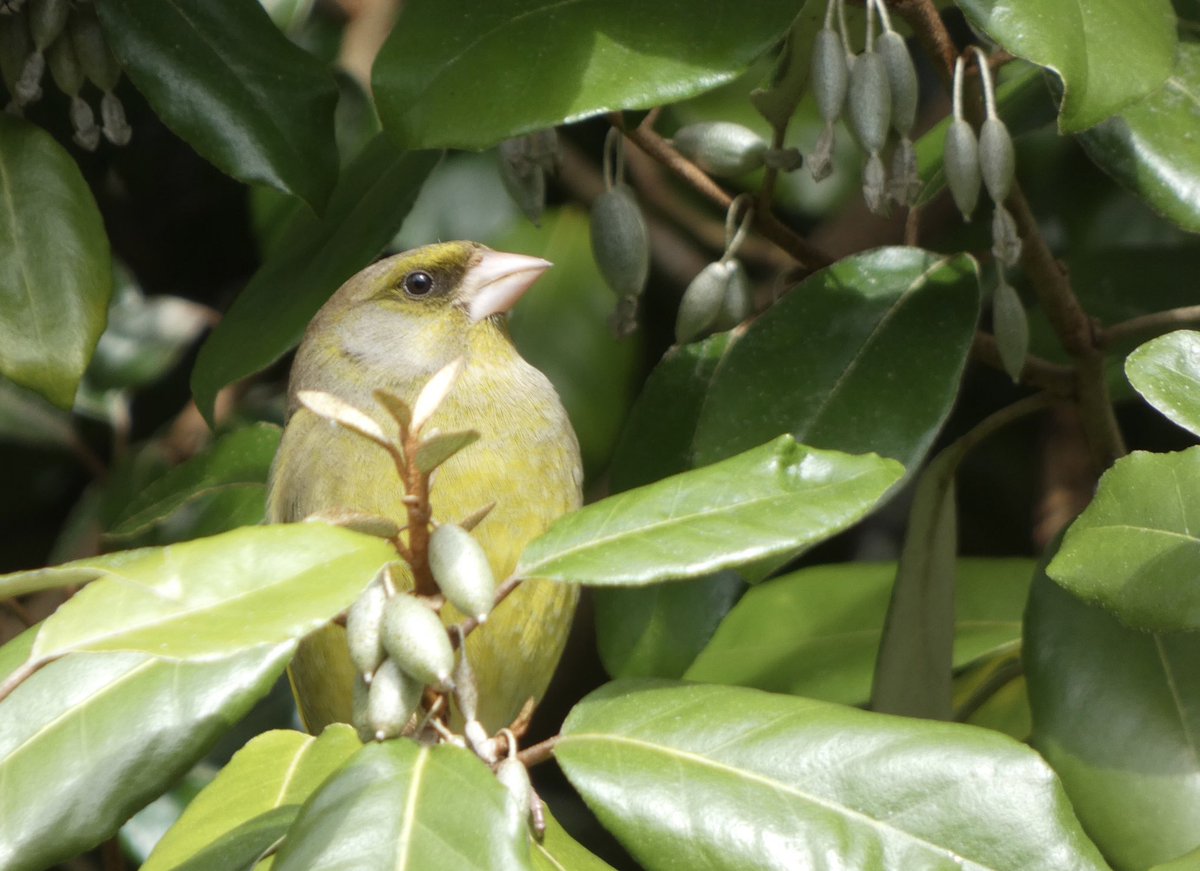 allthingsmothy tweet media