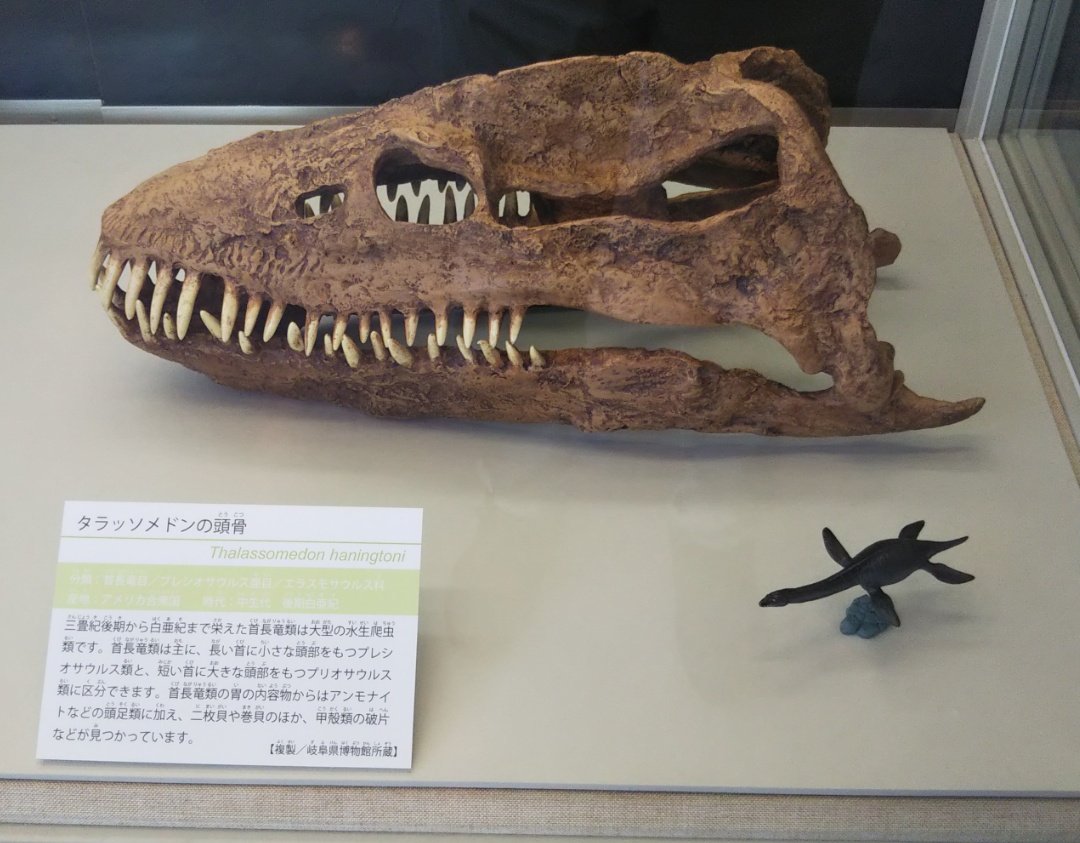 サトシ tweet media