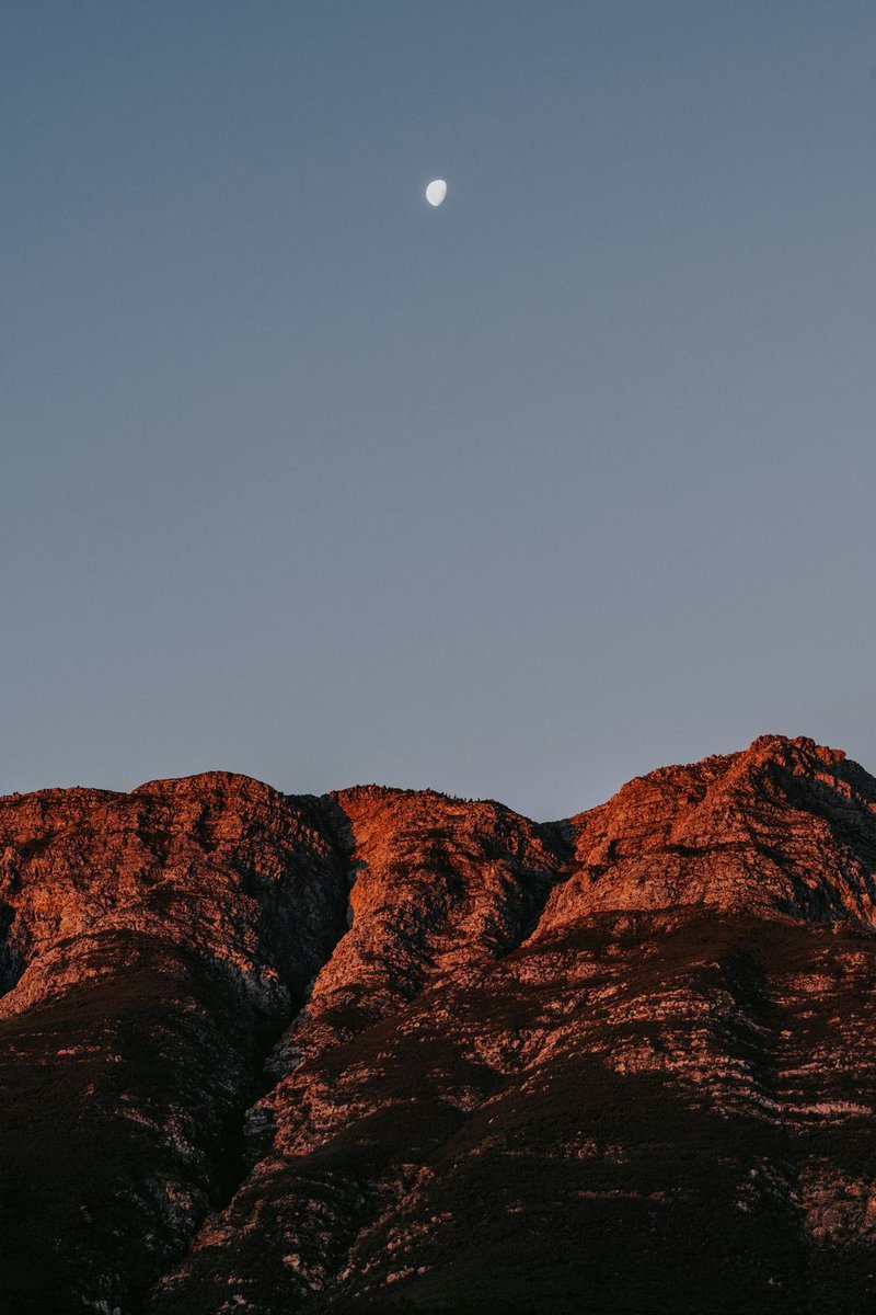 Unsplash tweet media