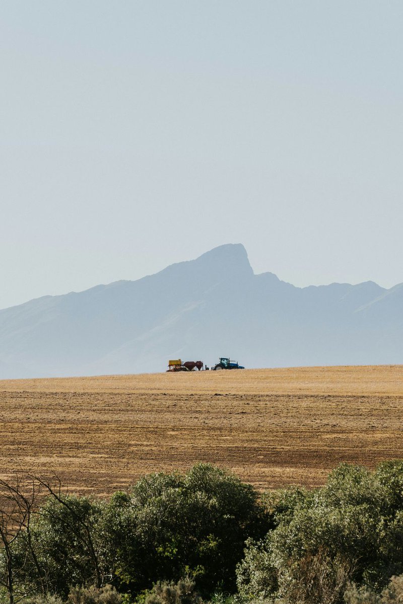 Unsplash tweet media