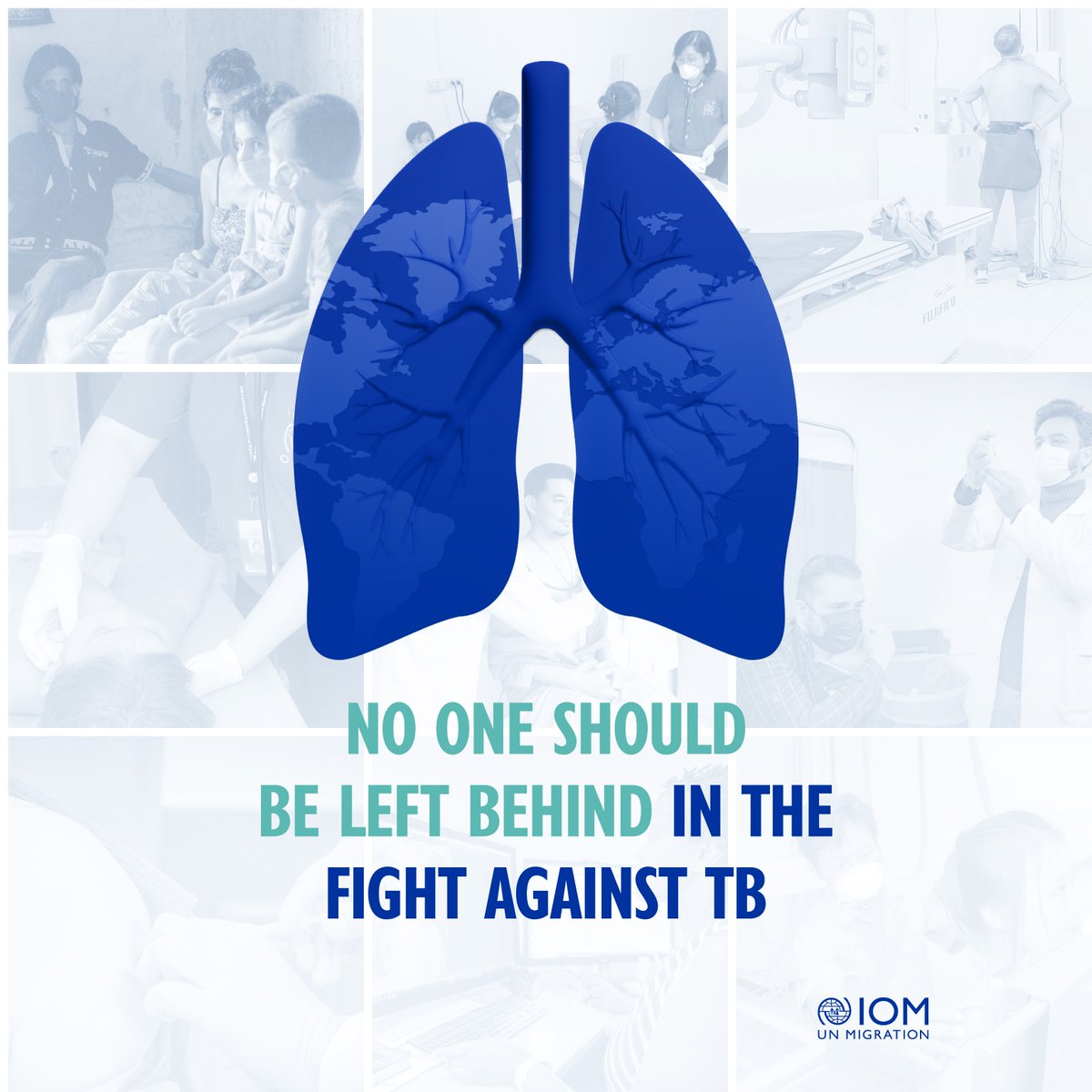 IOM - UN Migration 🇺🇳 tweet media