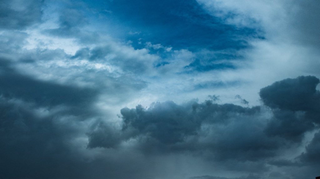 تركي. tweet media