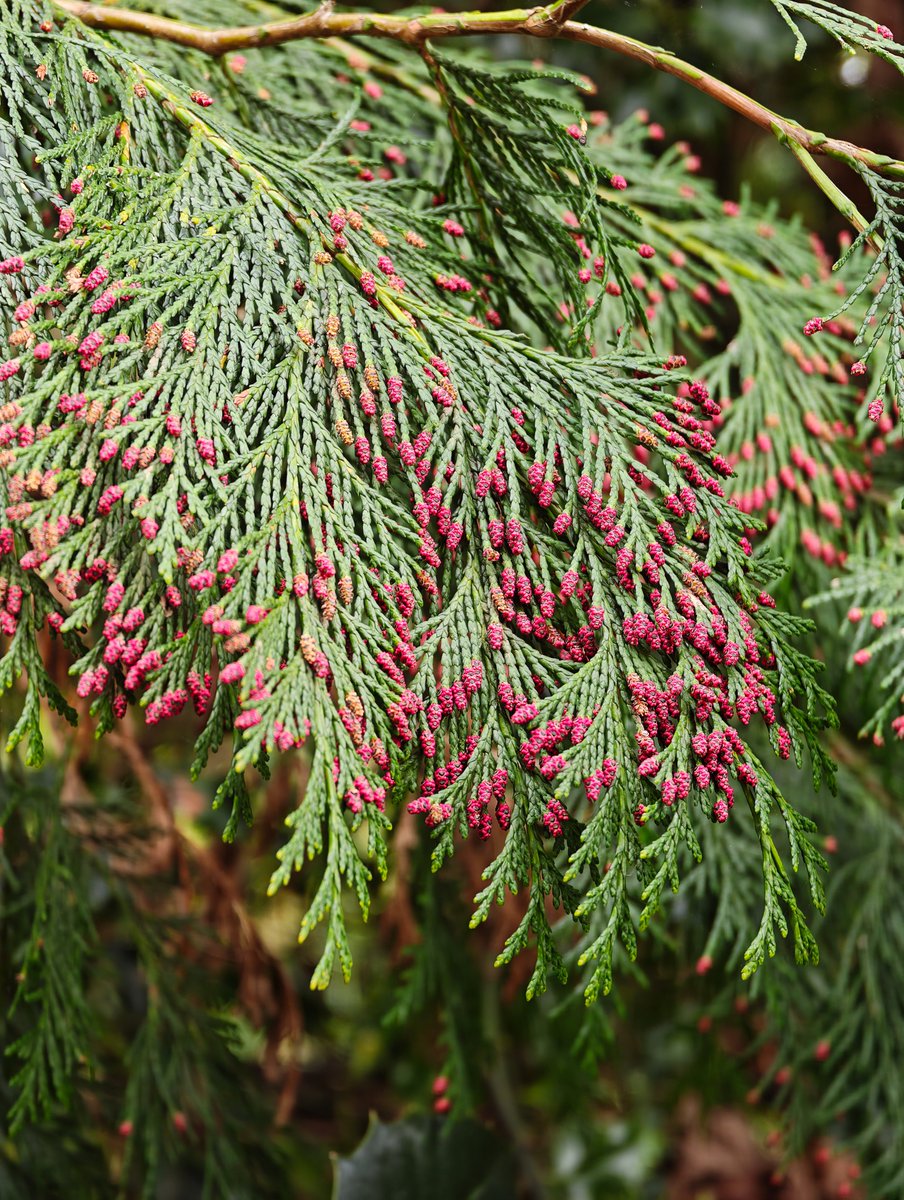 TechDepth tweet media