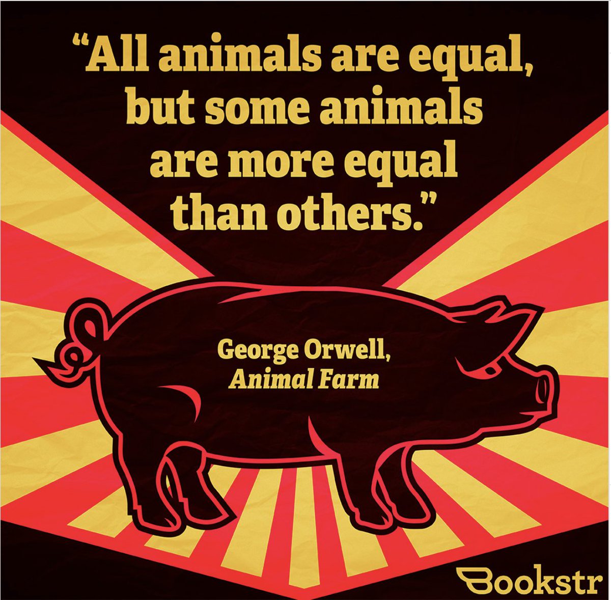 MR. NOBODY (of Political & Economic Significance) tweet media