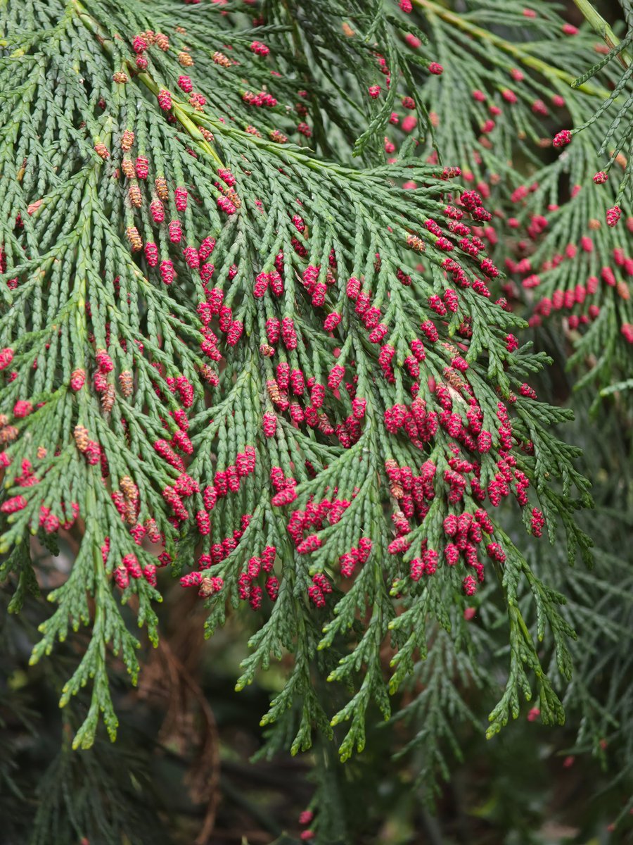 TechDepth tweet media