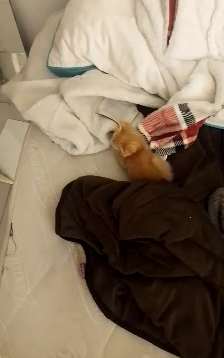 darkzay3000 tweet media