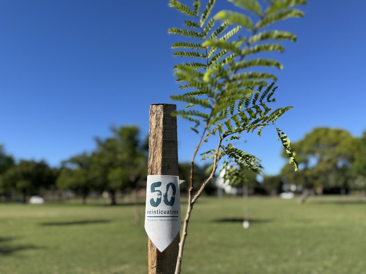 Pablo Javkin tweet media