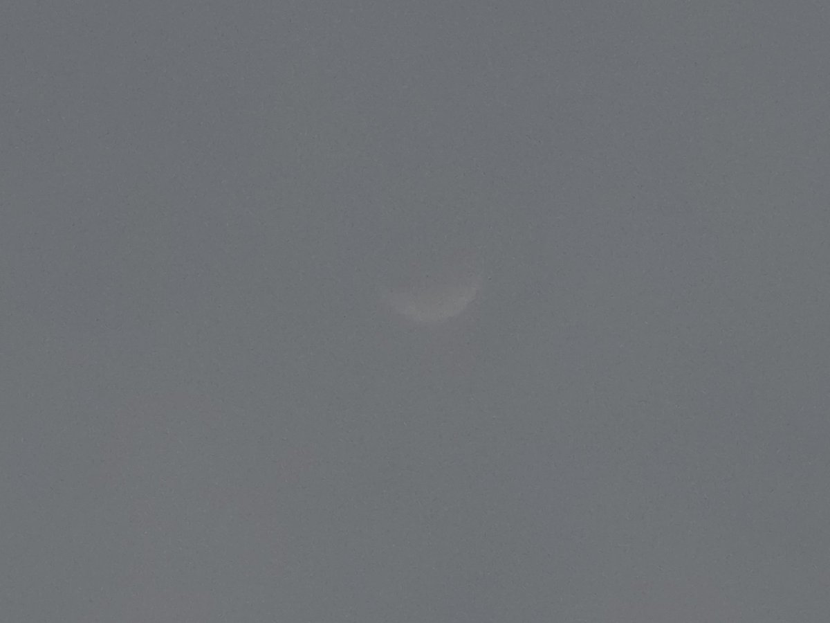 bini_so_ng tweet media