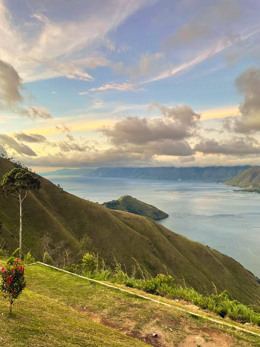 Waki くん tweet media