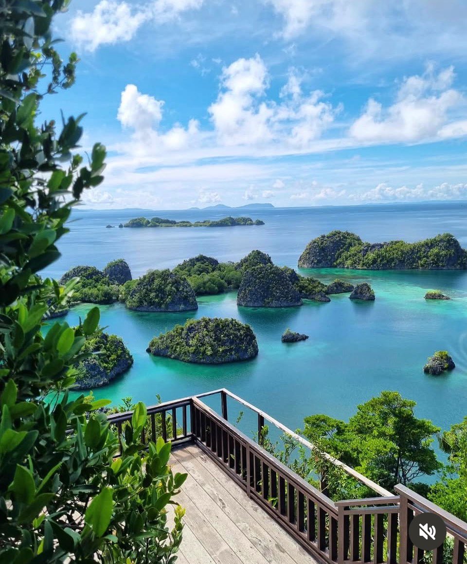 Waki くん tweet media