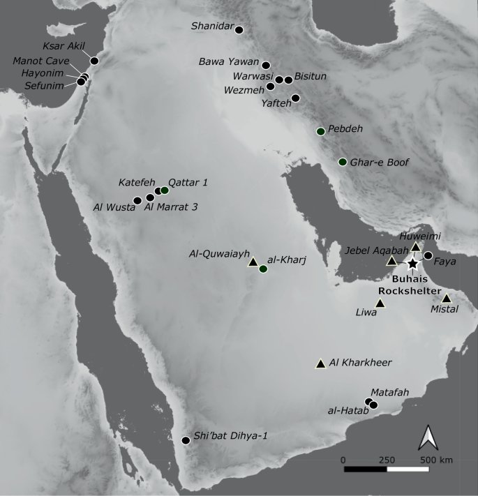 طارق الدهمشي tweet media