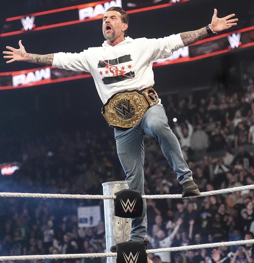 The workhorse around here. 𖥙 NOT @CMPunk. tweet media