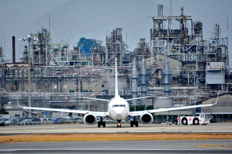 ぴっぴ tweet media