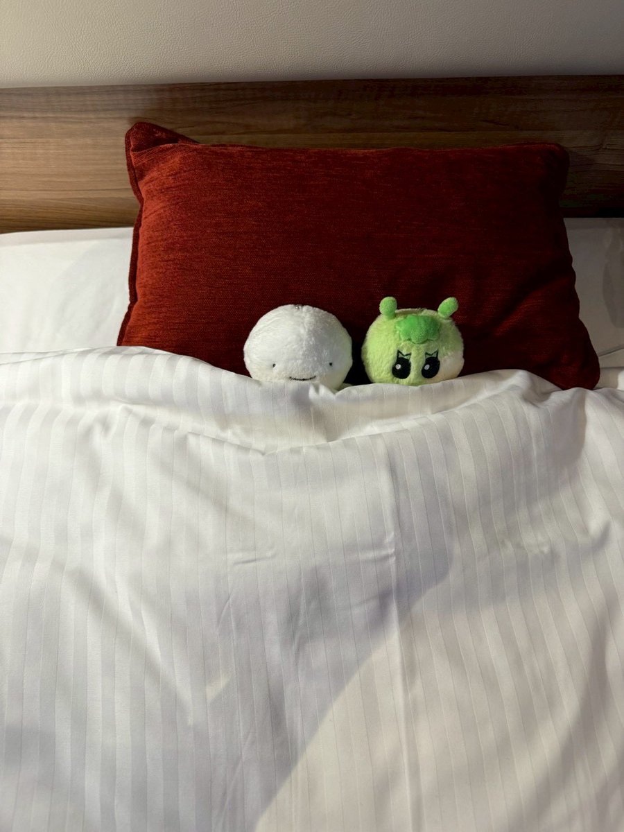 まおまおo̴̶̷᷄ o̴̶̷̥᷅ tweet media