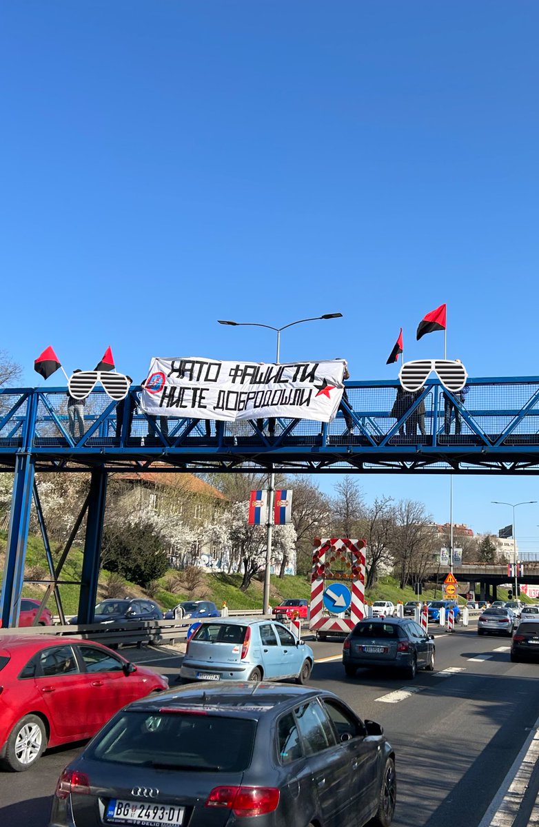 Lizistrata🔻 🇵🇸 tweet media