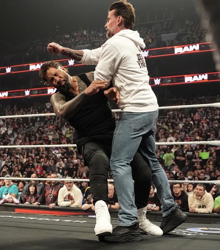 The workhorse around here. 𖥙 NOT @CMPunk. tweet media